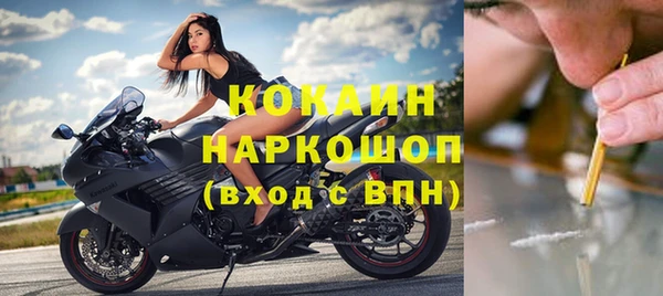 гашик Сафоново
