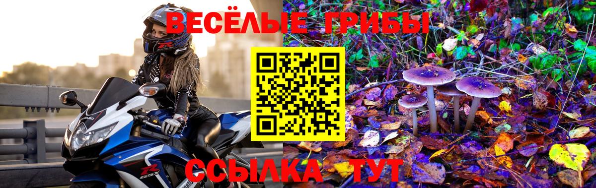 Галлюциногенные грибы прущие грибы Таганрог