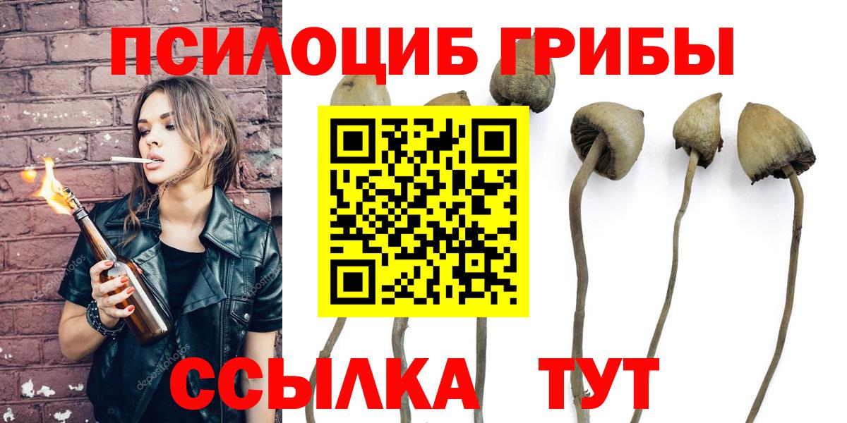 Псилоцибиновые грибы ЛСД  где найти наркотики  Таганрог  Галлюциногенные грибы ЛСД  Вход с VPN 
